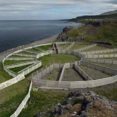 Réttir - Sortieranlage